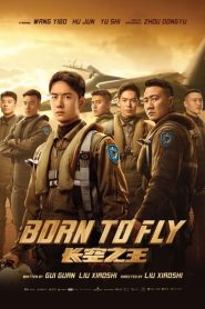 Born to Fly / Chang kong zhi wang / 长空之王