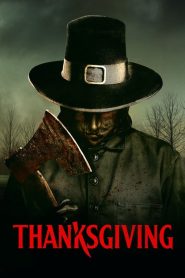 Thanksgiving / Viernes negro