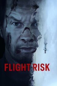 Flight Risk / Amenaza en el aire