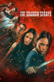 The Shadow Strays / Fuera de las sombras
