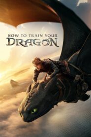 How to Train Your Dragon / Cómo entrenar a tu dragón