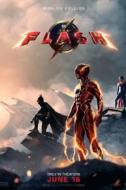 The Flash